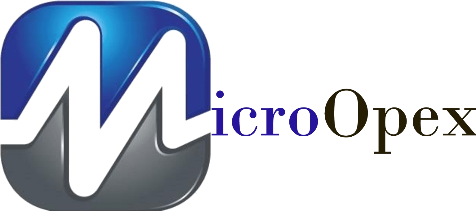 MicroOpex it consulting services